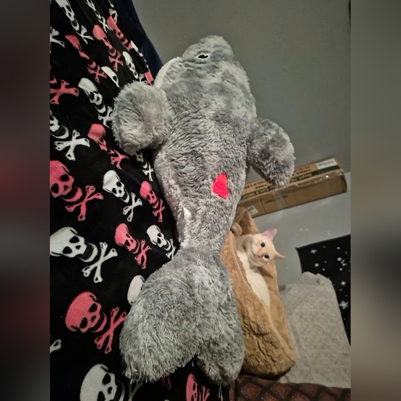 Big Stuffed Animal Shark 🦈 - Picture 4 of 5